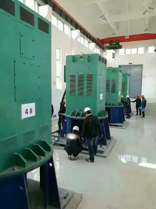Y450-6某污水处理厂使用我厂的立式高压电机安装现场
