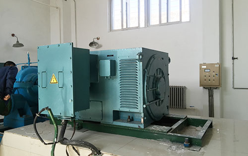 Y450-6某水电站工程主水泵使用我公司高压电机