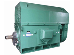 Y450-6Y系列6KV高压电机